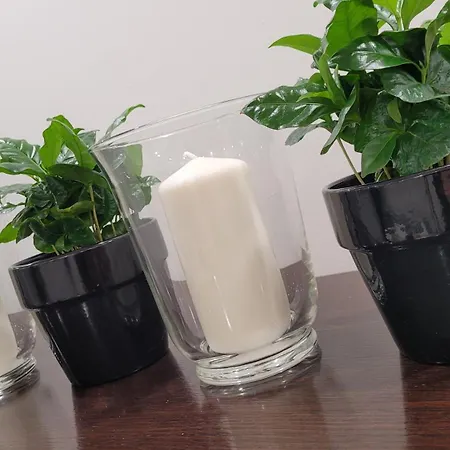 Appartement Incanto *